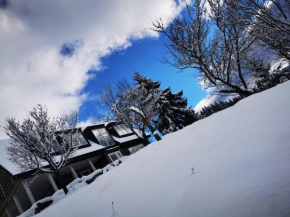 Doinita House